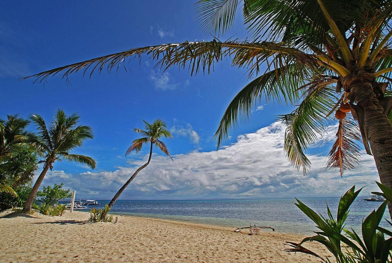 Malapascua Exotic Island Dive Resort Daanbantayan Εξωτερικό φωτογραφία